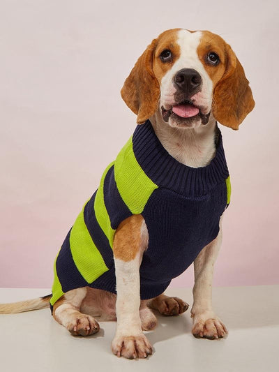 Suéter para Perros Pequeños y Medianos con Cierre de Contraste y Bolsillos - Image 29