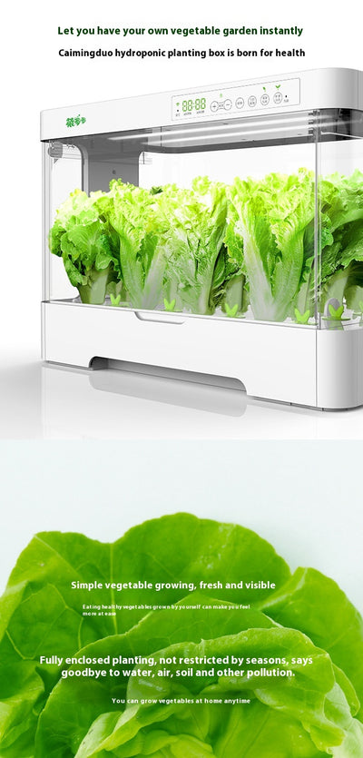 Sistema Automático de Cultivo Hidropónico sin Suelo - Image 9