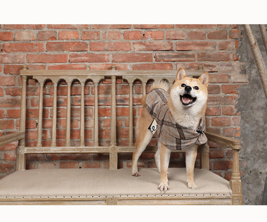 Abrigo Cortaviento para Perros Pequeños - Image 2