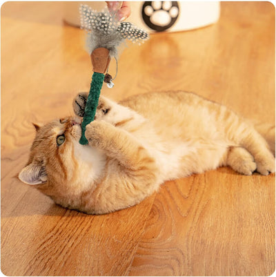 Juguetes para Gatos con Catnip y Plumas - Palitos Masticables Silvervine para Limpiar Dientes - Image 11