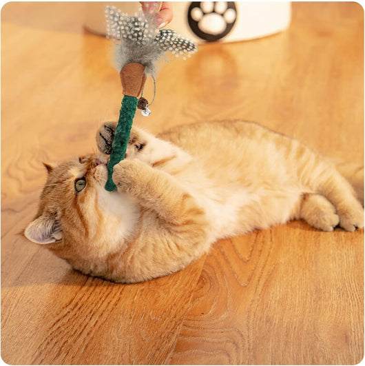 Juguetes para Gatos con Catnip y Plumas - Palitos Masticables Silvervine para Limpiar Dientes - Image 11