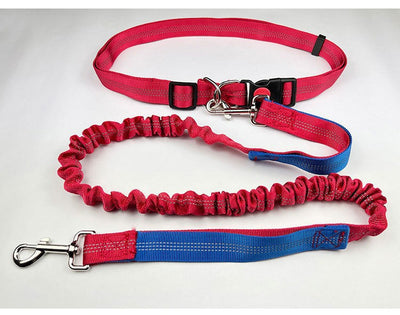 Correa Reflectante para Perros con Elástico - Ideal para Correr de Noche - Image 12