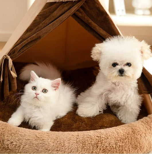 Casa Felina Cerrada 4 Estaciones - Refugio Confort para Gatos y Mascotas - Image 17
