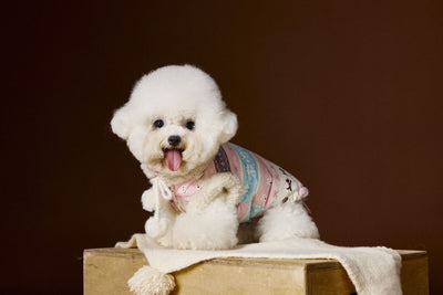 Chaleco Fair Isle para Mascotas Schnauzer Bichon Teddy - Image 20