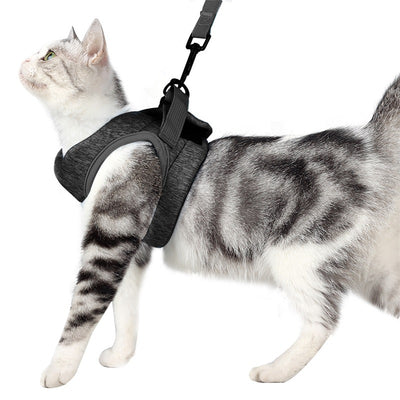 Chaleco Antiescape con Cuerda de Tracción para Gatos - Image 5