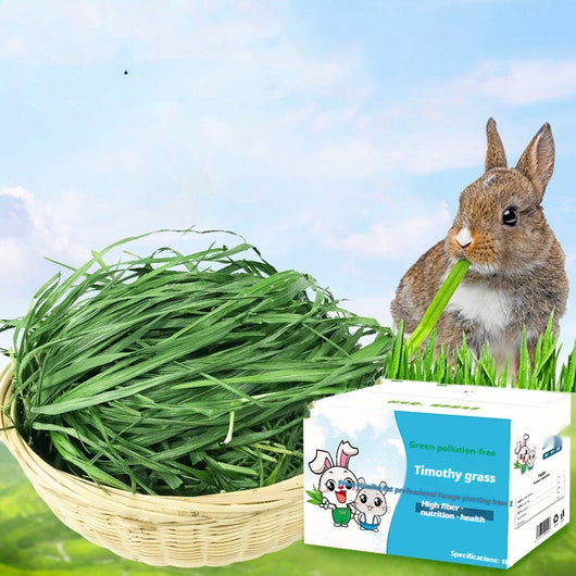 White box of Timothy grass pet food with cartoon rabbits, labeled as green, no pollution, high fiber, nutrition, and health, 1kg.