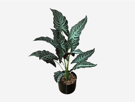 Planta Artificial Decorativa Tortuga - 12-24 Cabezas Verdes para Pared y Jardín - Image 37