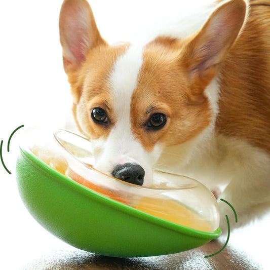 Comedero Antivuelco para Mascotas con Base Estable