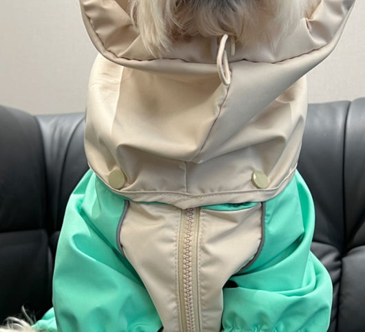 Poncho Impermeable para Schnauzers y Perros Pequeños - Image 11