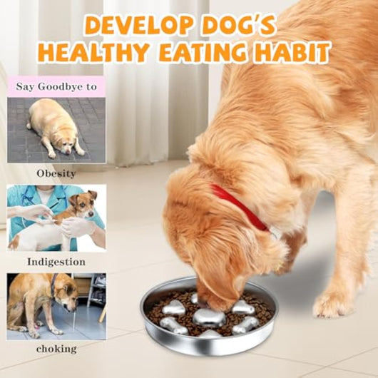Comederos Lentos para Perros Antideslizantes con Diseño de Corazones y Huesos - Image 7