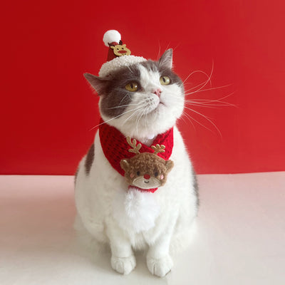 Bufanda Navideña para Gatos - Decoración Festiva para Mascotas - Image 15