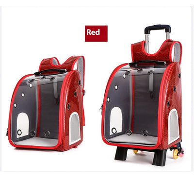 Mochila Transportadora Transparente Plegable para Perros Pequeños con Bolsillo Pañales - Image 14