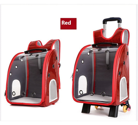 Mochila Transportadora Transparente Plegable para Perros Pequeños con Bolsillo Pañales - Image 14