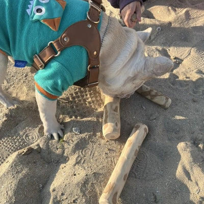 Juguete Mordedor para Perro de Madera de Café Natural - Image 2