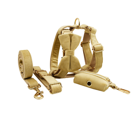 Collar de Perro Terciopelo Suave y Elegante - Image 10