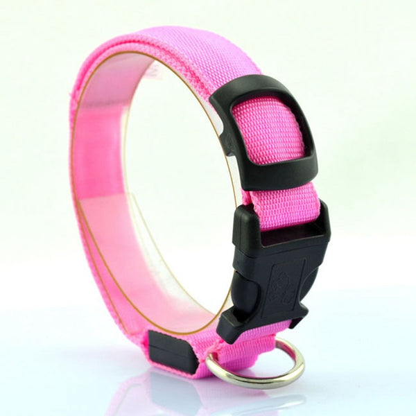 Collar Luminoso Fluorescente para Perros
