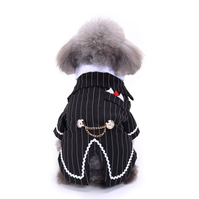 Traje Deportivo para Perros - Image 15