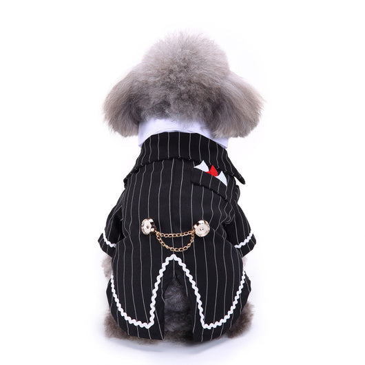 Traje Deportivo para Perros - Image 15