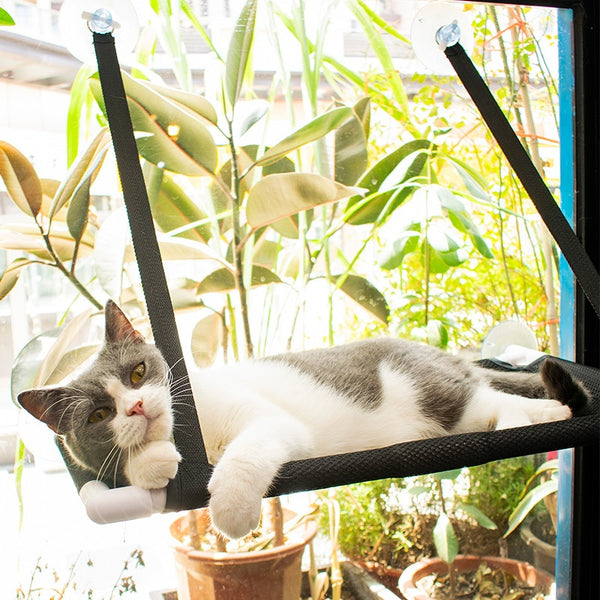 Hamaca Colgante para Gatos con Ventosas - Nido de Cuatro Estaciones