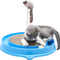 Rascador Interactivo para Gatos con Juguete de Pelota - Pad de Entrenamiento y Ejercicio