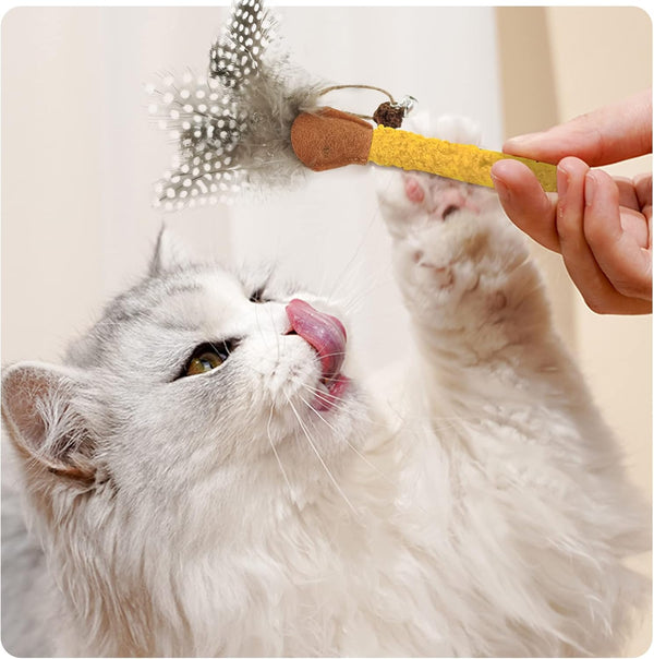 Juguetes para Gatos con Catnip y Plumas - Palitos Masticables Silvervine para Limpiar Dientes