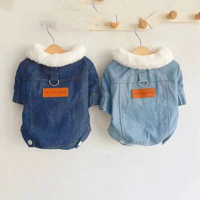Abrigo Acolchado de Borrego para Chihuahua - Ropa Térmica para Perros Pequeños - Image 10