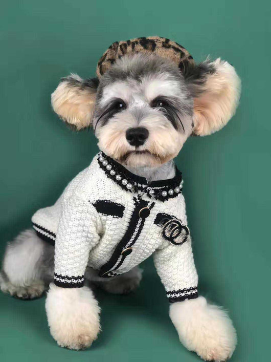 Suéter Cardigan Primavera para Perros Pequeños - Schnauzer y Pomerania - Image 3