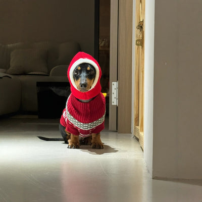 Gorro Cálido de Peluche con Forma de Perro Salchicha para Navidad - Image 4