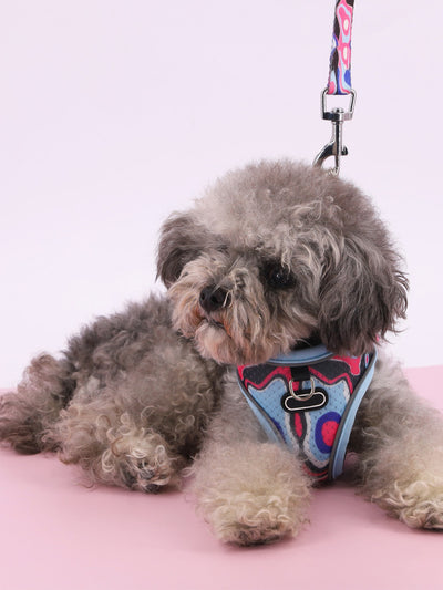 Arnés de Tracción Pectoral para Perros - Image 16