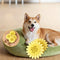Juguete Masticable de Goma para Perros - Girasol Duradero para Cachorros