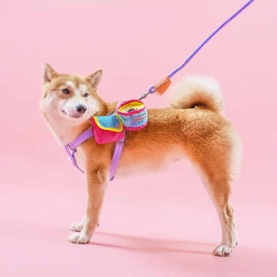 Bolsa de Viaje 3 en 1 para Mascotas - Diseño Portátil y Adorable - Image 10
