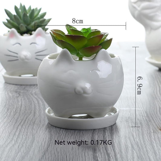 Maceta de Cerámica para Suculentas - Decoración Elegante para Balcón - Image 2