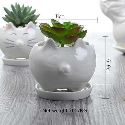Maceta de Cerámica para Suculentas - Decoración Elegante para Balcón - Image 2