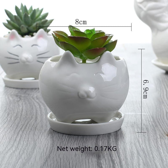 Maceta de Cerámica para Suculentas - Decoración Elegante para Balcón