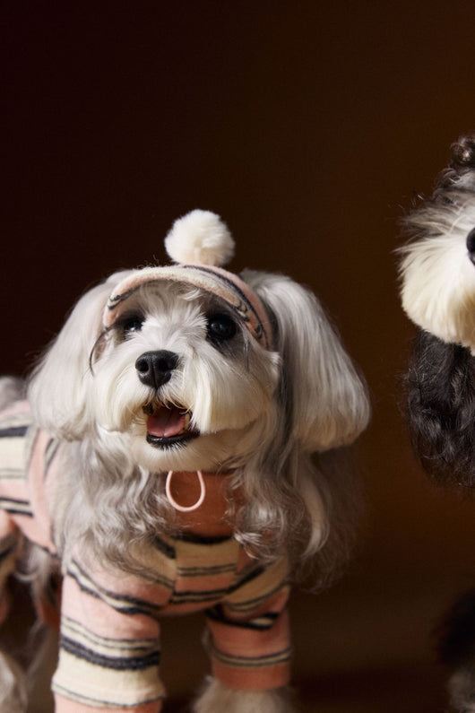 Suéter Térmico de Rayas para Perros Pequeños - Schnauzer, Bichón y Maltés - Image 45
