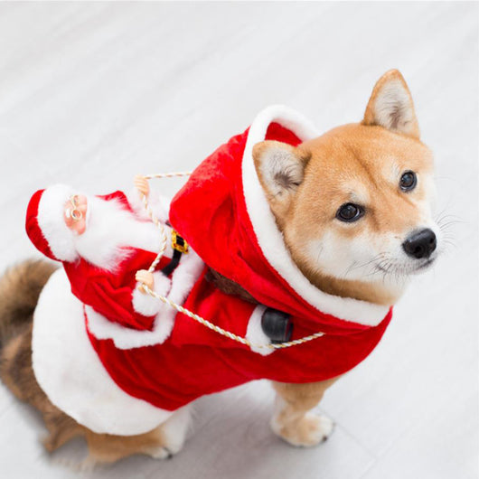 Disfraz Navideño Elfo Verde para Mascotas - Ropa Festiva para Perros - Image 8