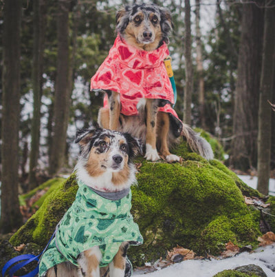 Abrigo Acolchado Impermeable para Perros Grandes - Protección Térmica Invierno - Image 12
