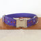 Collar para Perro con Estampado Morado de Halloween