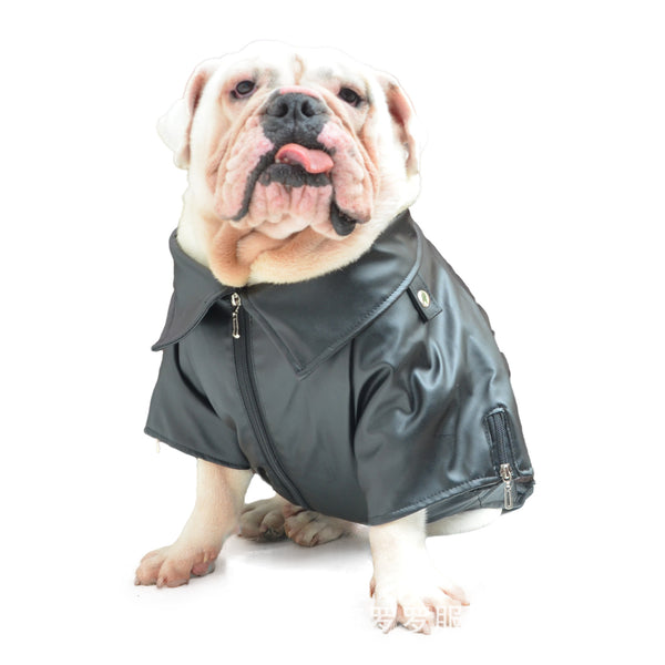Chaqueta de Cuero para Perros Grandes - Abrigo Otoño e Invierno