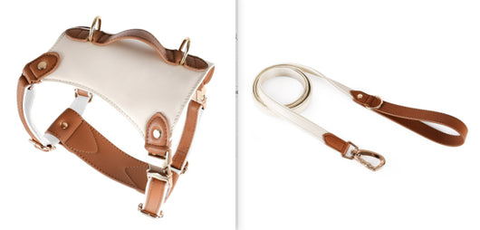 Arnés de Cuero para Mascotas con Cuerda Guía - Image 15