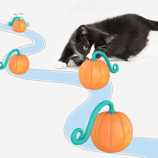 Orange pumpkin-shaped cat toy with a teal vine and paw print details, measuring 61mm. - Image 10
