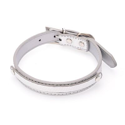 Collar Personalizado para Perro con Letras DIY del Nombre - Image 2