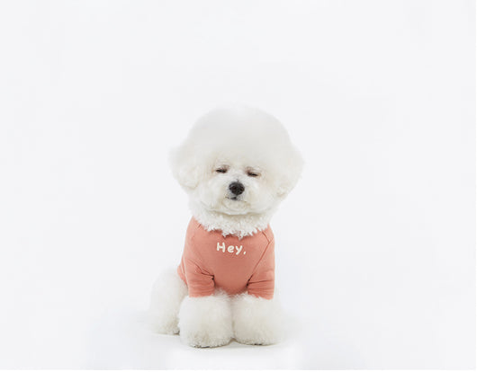 Playera Estampada Casual para Mascotas - Image 5