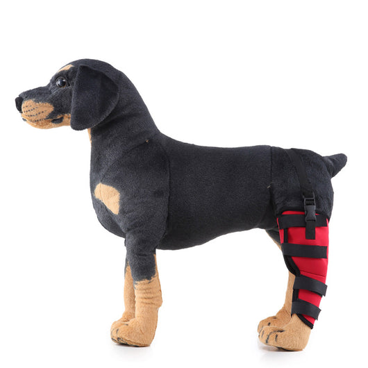 Soporte ortopédico para rehabilitación de patas en mascotas - Image 15