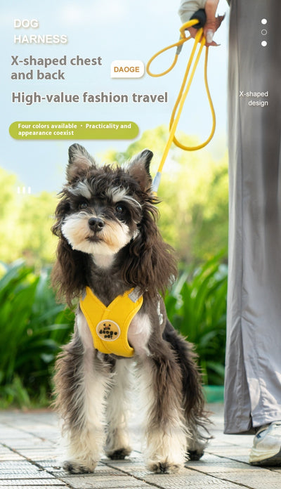 Arnés de Paseo con Correa de Mano para Mascotas - Image 13