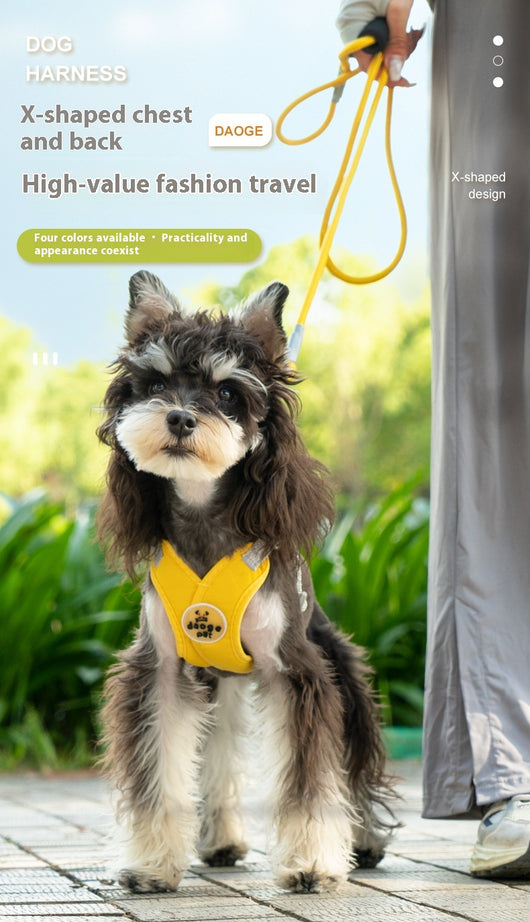 Arnés de Paseo con Correa de Mano para Mascotas - Image 13