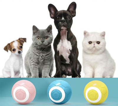 Yellow electric pet toy ball with a soccer ball pattern and a white ring around a central power button. - Image 14