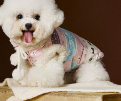 Chaleco Fair Isle para Mascotas Schnauzer Bichon Teddy - Image 7