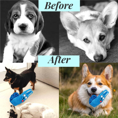 Juguetes Interactivos para Perros con Sonido Chirriante y Alfombra de Búsqueda para Entrenamiento Mental - Image 8
