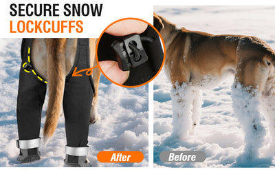Botas Protectoras para Perros - Impermeables y Térmicas para Clima Frío - Image 14